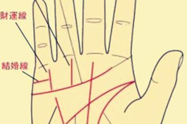 手相不好的人命格解析:从掌纹看人生的起伏与方向 手相不好的人命格解析:从掌纹看人生的起伏与方向