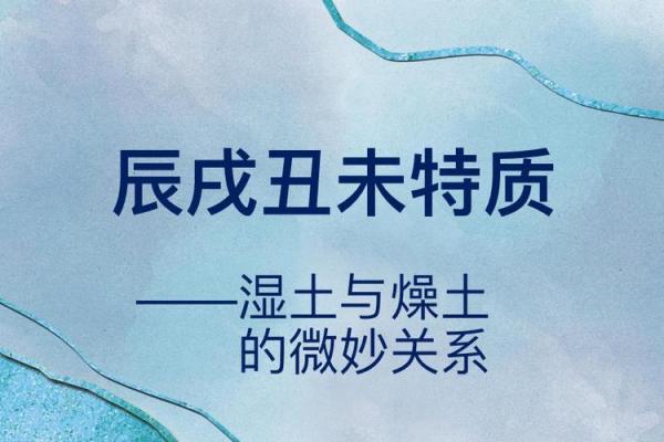 城墙土命：稳重与包容，探索土命人的独特脾气