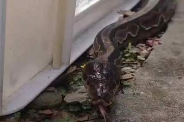 经常砸到头的小秘密:你是否也有这样的命运? 经常砸到头的小秘密:你是否也有这样的命运?