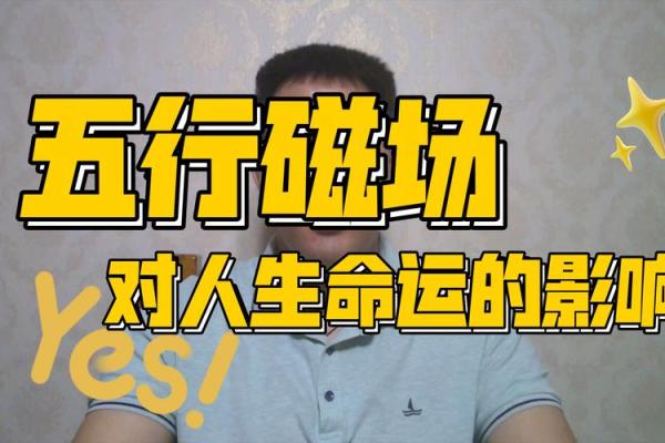 揭秘2012五行命运:如何影响你的一生 揭秘2012五行命运:如何影响你的一生