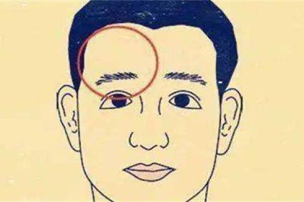 眉毛太粗太浓的命理解析与风水影响，助你掌握人生运势