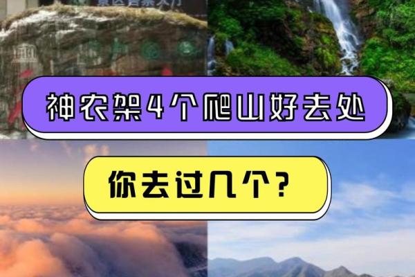 天生的皇帝命:探索内心的帝王之路 天生的皇帝命:探索内心的帝王之路