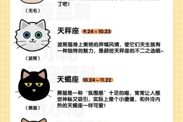 2018年命中注定:星座与运势的神秘启示 2018年命中注定:星座与运势的神秘启示