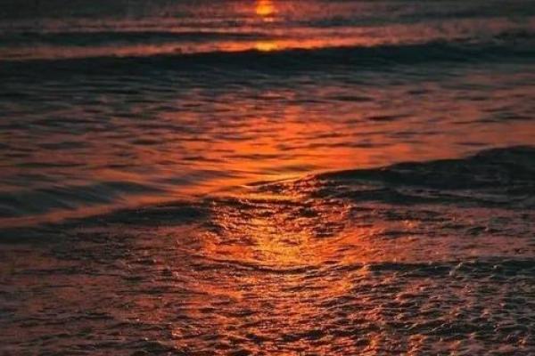 为民之命:探索成语中的人民情怀与古训智慧 为民之命:探索成语中的人民情怀与古训智慧