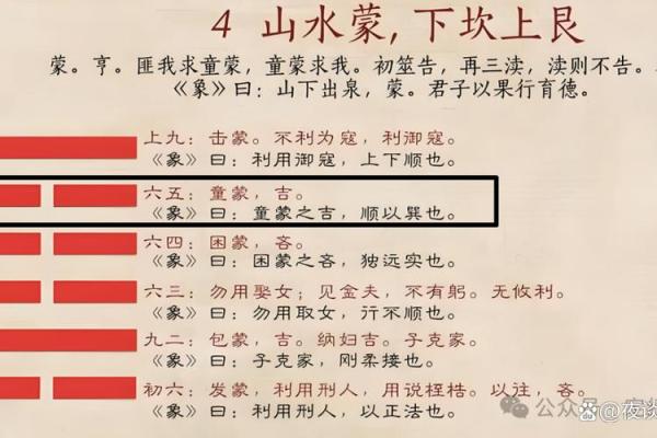 丙戌日命理解析：探索丙戌命的属性与独特人生轨迹