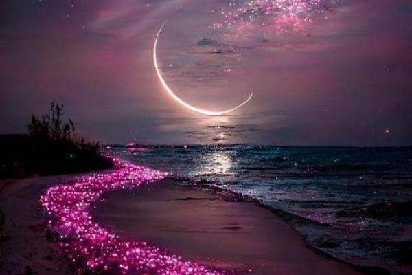 1997年4月11日出生的你:命运的多面性与人生的精彩旅程 1997年4月11日出生的你:命运的多面性与人生的精彩旅程