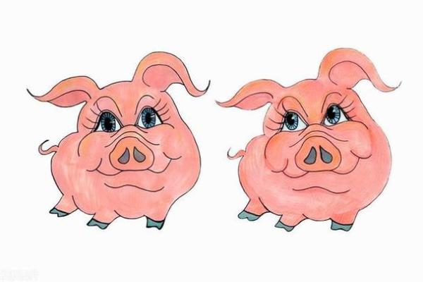 23岁属猪的命运分析：2018年的机遇与挑战