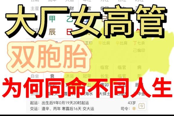 龙年巳时出生的命运解析:揭秘你的命理特征与人生方向 龙年巳时出生的命运解析:揭秘你的命理特征与人生方向