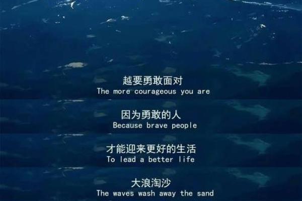 2010年属虎的命运解析：生活与事业的启示