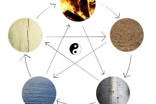 2020年腊月生肖命理解析：揭示你的性格与命运之谜