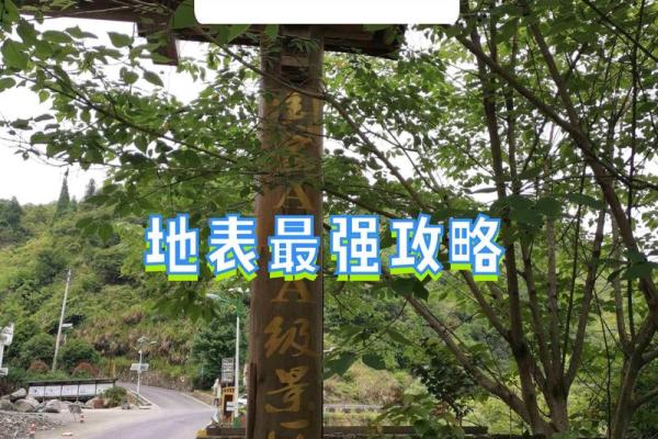 什么是命文?探寻命科学的奥秘与魅力 什么是命文?探寻命科学的奥秘与魅力