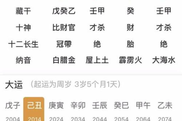 2013癸亥年八字分析：你命中的水与猪的奇妙碰撞