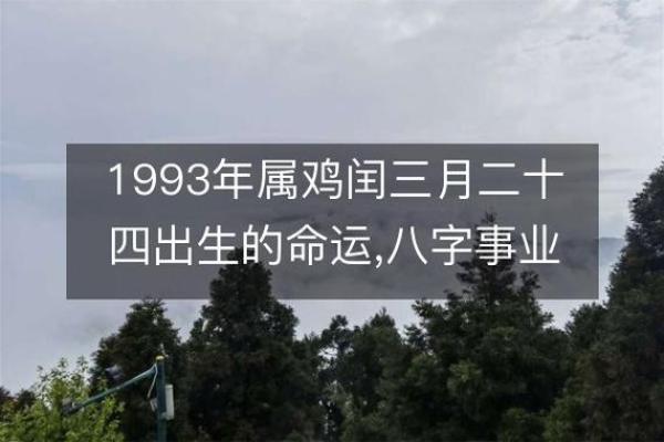 属鸡正月出生的命运解析：揭开天生的风采与运势的秘密