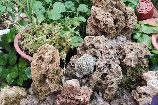 2007年2月：命运的转折与人生的选择