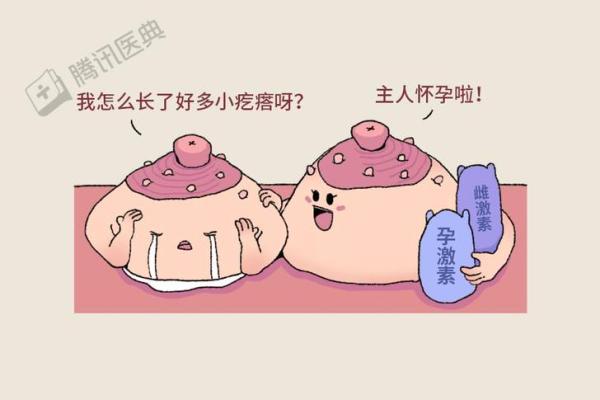 女性乳晕的大小与命运的关系：揭秘神秘的身体密码