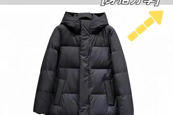 上身短上身长，命运各有千秋的秘密