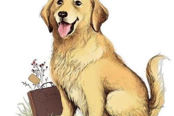 属狗午时出生的人命运解析：聪明勤奋，注定不同凡响