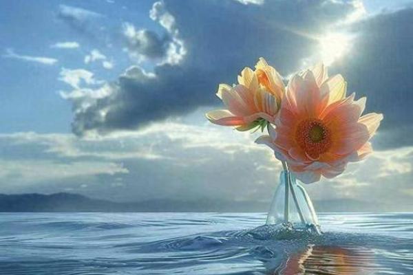 7971年猪的命运揭秘：它们的性格、运势与未来