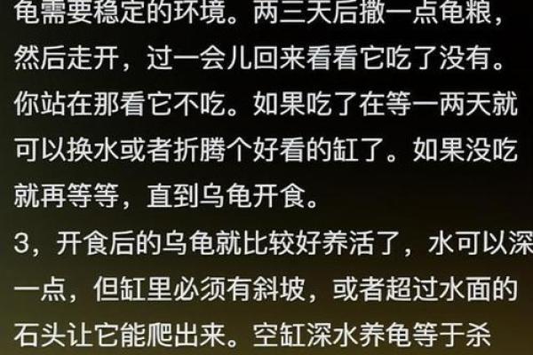 救命的命：生命的意义与价值探讨