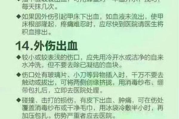 救命的命：生命的意义与价值探讨