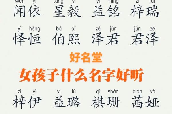 2023年兔宝宝命运解读：如何把握未来与机遇