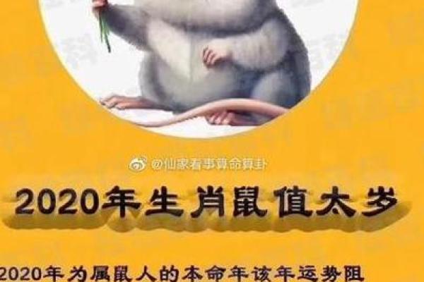 1924年鼠年：解析鼠的命运与个性特质的深层秘密