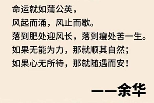 随命的人：顺其自然的心理探讨与生活智慧