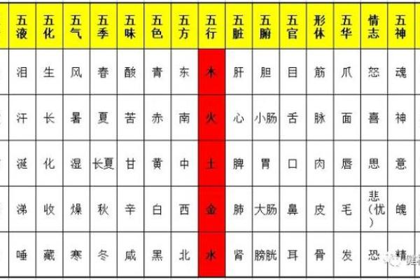 2020年出生的宝宝什么金命：探索五行与命理的奇妙之旅