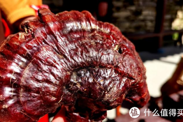 土命缺水之人佩戴什么,提升运势与健康的秘密! 土命缺水之人佩戴什么,提升运势与健康的秘密!