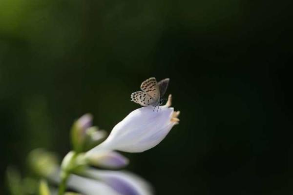 女人上半生的命运揭秘：幸福之路与挑战并存