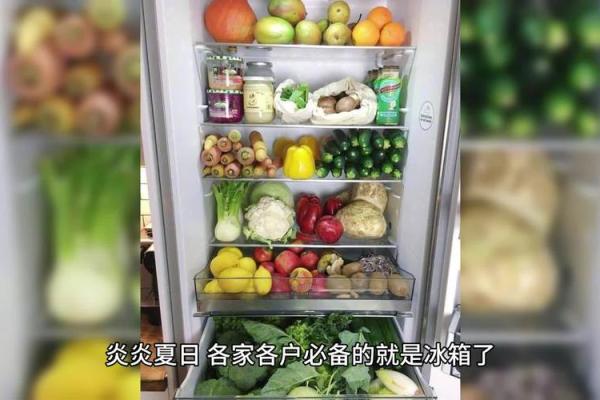 土命人士的冰箱颜色忌讳与风水调和之道