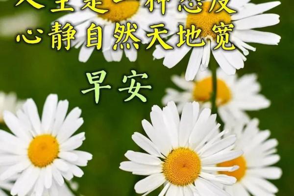 1961年属鸡的命运分析:如何把握人生转机,实现自我价值 1961年属鸡的命运分析:如何把握人生转机,实现自我价值