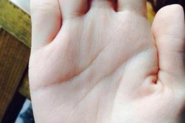 2020鼠宝性格与命运分析：你是幸运的天生领袖吗？