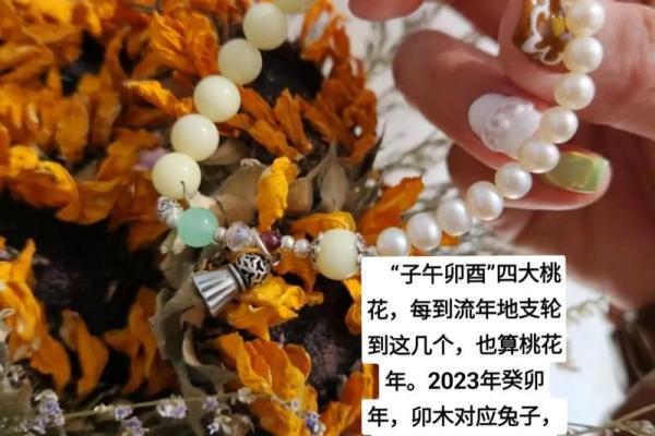 癸卯年兔宝宝命运解析：如何把握未来之路！