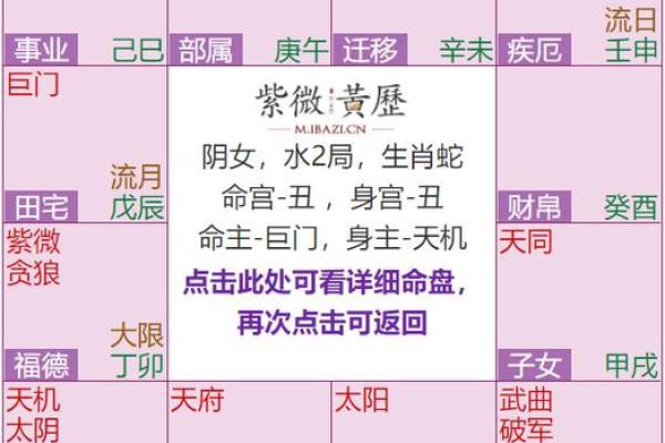 教员紫微命盘解析：如何从命盘看职业格局与个人发展