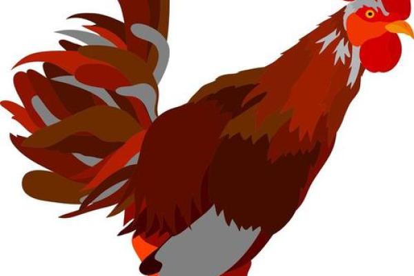 属鸡男命的个性特征与生活智慧