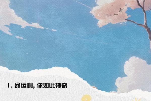 2011年：揭秘这一年的命运与人生启示