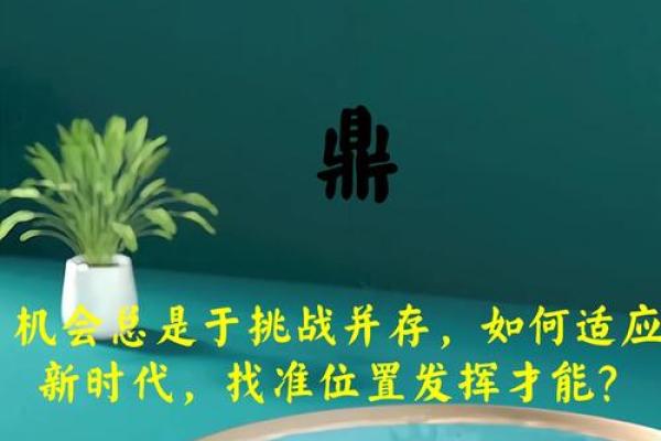 命运的命：我们如何理解与把握生命中的机遇与挑战