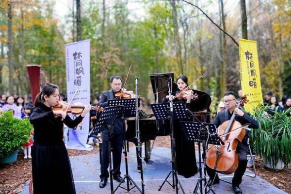 咖啡续命音乐:当音符与咖啡相遇的奇妙体验 咖啡续命音乐:当音符与咖啡相遇的奇妙体验