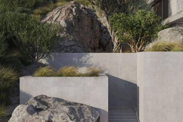 1965年的人生旅程:揭开金蛇的神秘面纱 1965年的人生旅程:揭开金蛇的神秘面纱