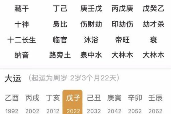 浅析戊辰、癸亥、丁亥与辛丑命格的命理特征与生活启示 浅析戊辰、癸亥、丁亥与辛丑命格的命理特征与生活启示