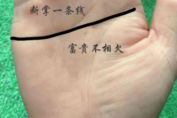男人双断掌的命运与性格解析：从手相看人生轨迹