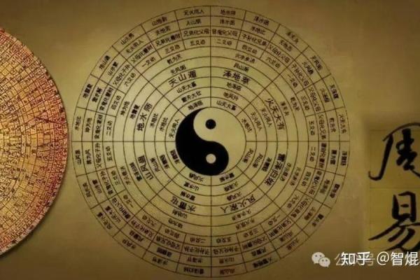 中国之命:寻找生命的智慧与方向 中国之命:寻找生命的智慧与方向