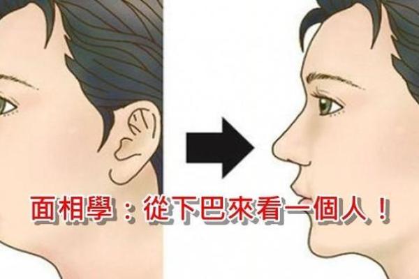 揭秘大脸盘的命运特色：从面相看人生运势