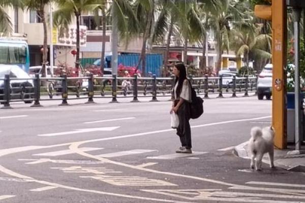 命似薄纸，岁月轻叹：探索生命的脆弱与坚韧