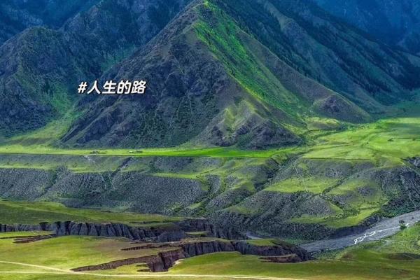 光明之命：那些与光同行的人生旅程