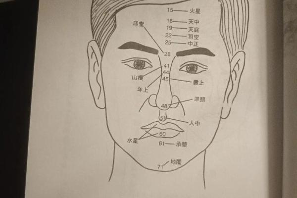 揭秘大脸盘的命运特色：从面相看人生运势