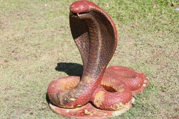 蛇年出生的孩子：命运与性格的奇妙结合