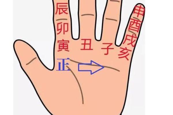 解密蛇酉时出生的命理：探寻你的命运深藏的秘密