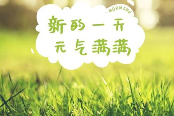 属鸡的21岁:迈向人生新阶段的幸运与挑战 属鸡的21岁:迈向人生新阶段的幸运与挑战